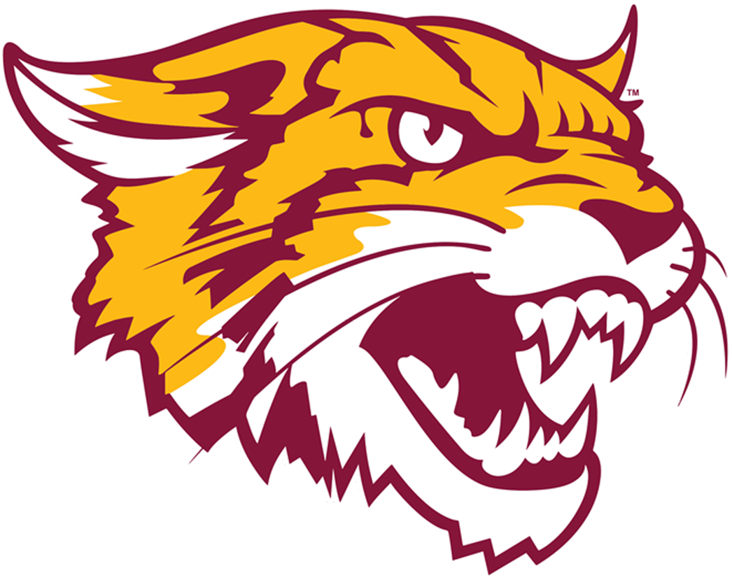 Bethune-Cookman Wildcats 2016-Pres Alternate Logo DIY iron on transfer (heat transfer)